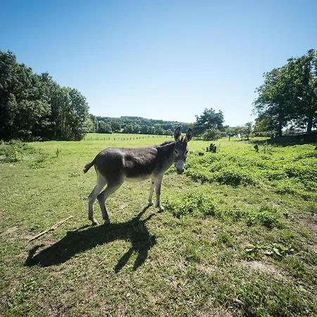In Darney With Meadow Views, Cleaning Included *