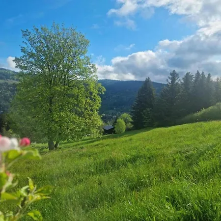 In Darney With Meadow Views, Cleaning Included Dombasle-devant-Darney