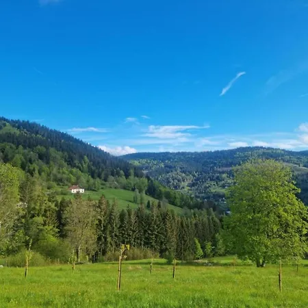 In Darney With Meadow Views, Cleaning Included Apartment