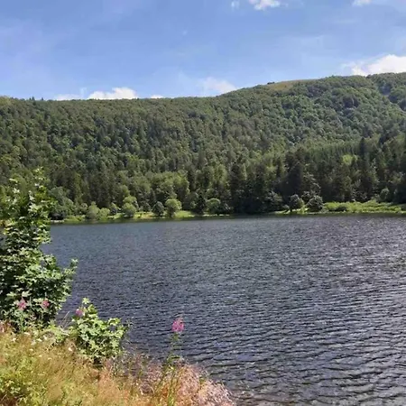 In Darney With Meadow Views, Cleaning Included
