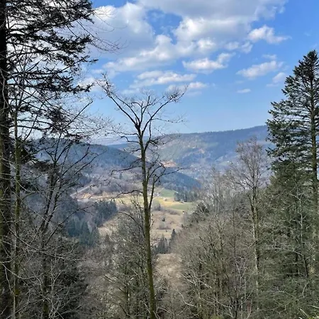 In Darney With Meadow Views, Cleaning Included Apartment